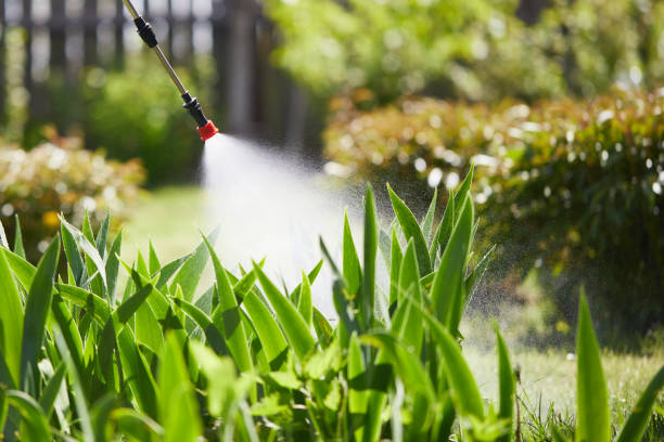 24/7 Emergency Fumigation Services experts in Rosedale, MS