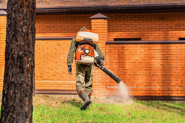 Trusted Cockroach Control service in Rosedale, MS - Nex Pest Control